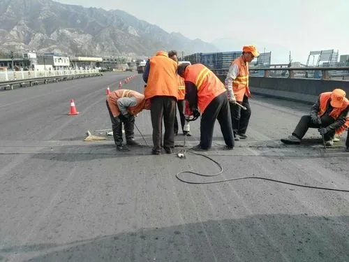 巢湖道路桥梁病害治理